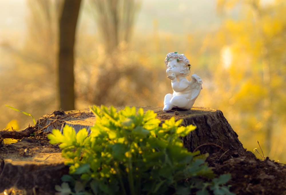 white ceramic angel figurine on brown log