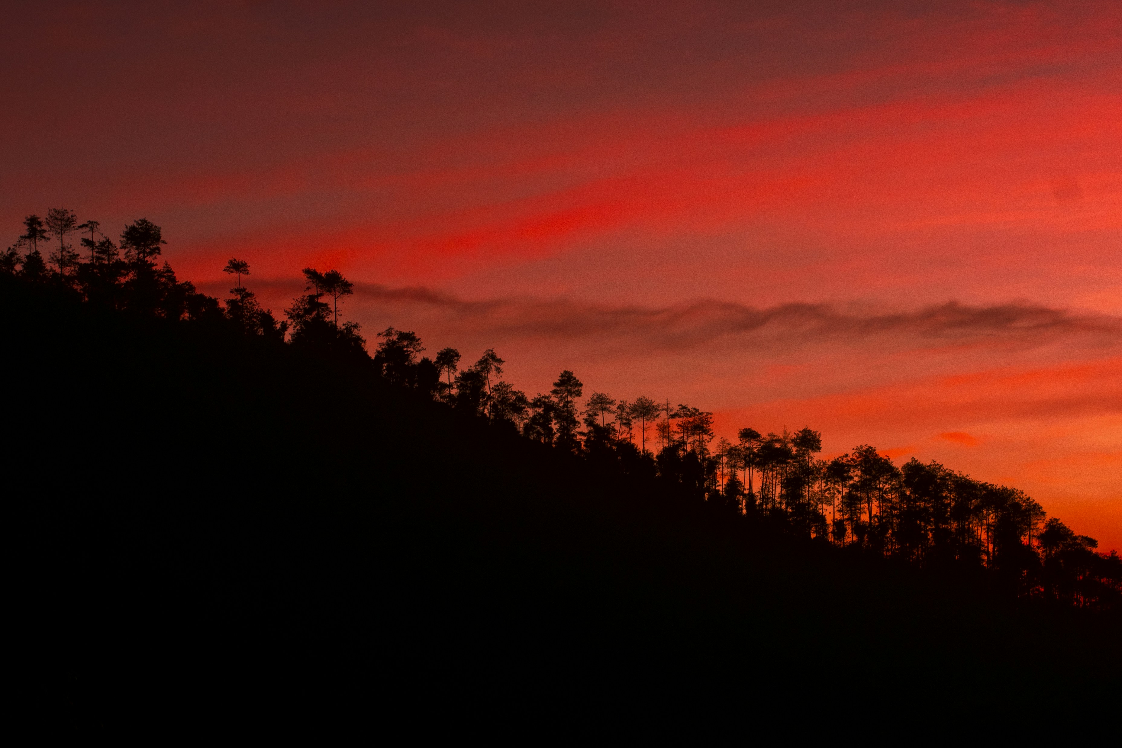 Photo by hikarinoshita