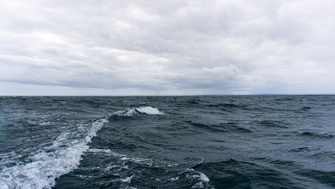 photo of Vättern Ocean near Brahehus