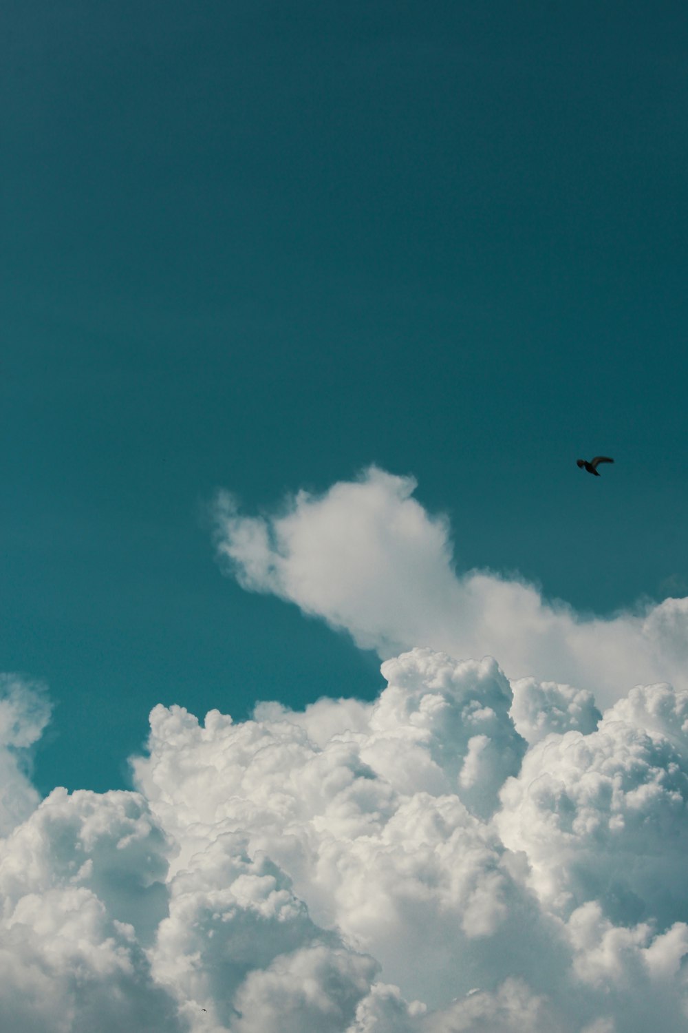 Avión negro volando en el cielo durante el día