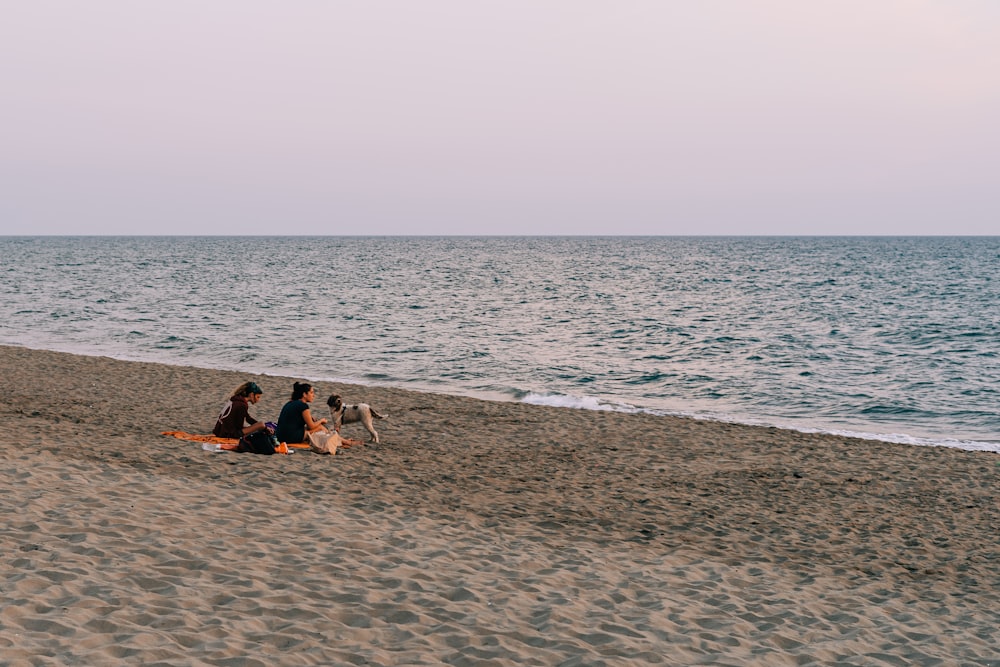 Gente en la playa durante el día