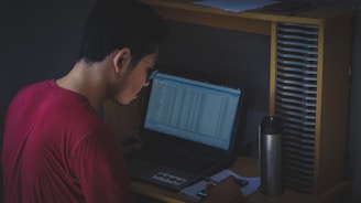 A person wearing a red shirt sits at a desk working on a laptop. The screen displays various data entries. Beside the laptop, there is a metallic water bottle with the phrase 'Stay Active' written on it. A smartphone and some papers are also on the desk. The lighting is dim, creating a focused, contemplative atmosphere.