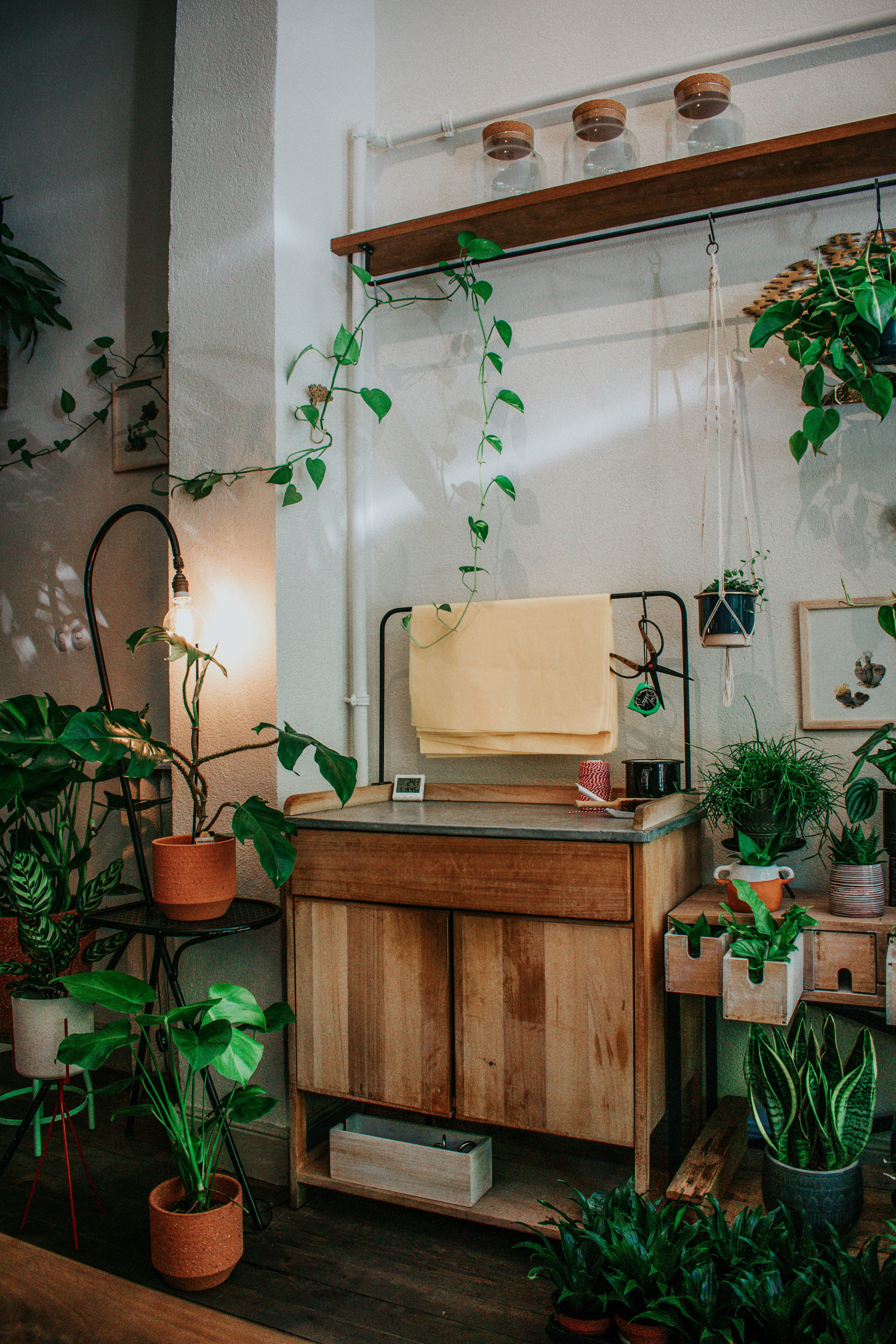 Photo by ceydaciftci