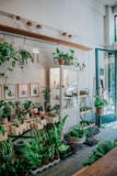 A cozy indoor plant shop featuring a variety of potted green plants arranged on wooden shelves and tables. The space includes a glass cabinet displaying small items, picture frames with botanical art on the walls, and large glass jars with wooden lids on a floating shelf. Sunlight streams through a large window, illuminating the greenery.