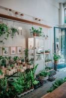 A cozy indoor plant shop featuring a variety of potted green plants arranged on wooden shelves and tables. The space includes a glass cabinet displaying small items, picture frames with botanical art on the walls, and large glass jars with wooden lids on a floating shelf. Sunlight streams through a large window, illuminating the greenery.