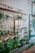 A cozy indoor plant shop featuring a variety of potted green plants arranged on wooden shelves and tables. The space includes a glass cabinet displaying small items, picture frames with botanical art on the walls, and large glass jars with wooden lids on a floating shelf. Sunlight streams through a large window, illuminating the greenery.