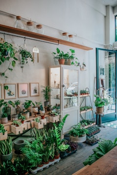 A cozy indoor plant shop featuring a variety of potted green plants arranged on wooden shelves and tables. The space includes a glass cabinet displaying small items, picture frames with botanical art on the walls, and large glass jars with wooden lids on a floating shelf. Sunlight streams through a large window, illuminating the greenery.