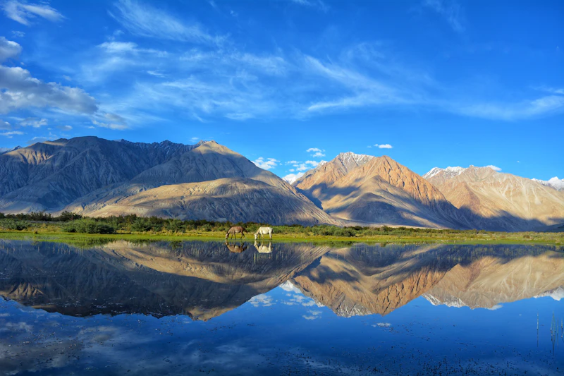 Best Artisan Bakeries in Leh for Bread Worth Getting Up Early For