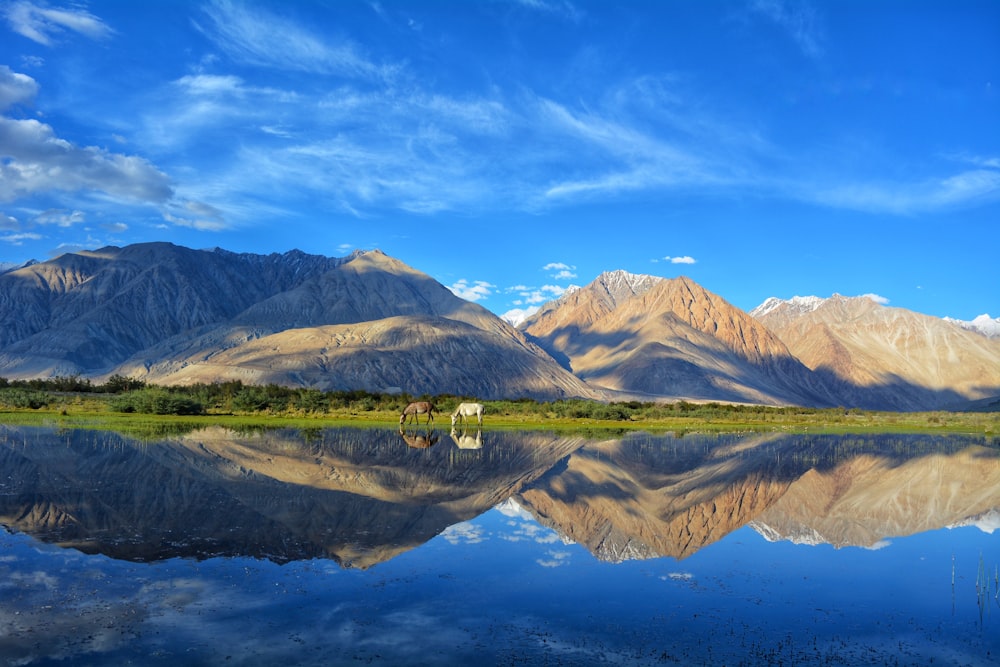 green and brown mountains beside lake under blue sky during daytime