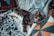 A cat is lying on a bed surrounded by colorful pillows and blankets. The cat is wearing a protective cone around its neck, commonly used after veterinary procedures. Its paw is wrapped in a blue bandage.