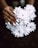 person holding white petaled flowers