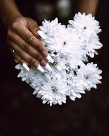 A hand with long, manicured nails gently holds a bouquet of white flowers. The nails are painted white with a pink base, and the hand is adorned with thin rings. The background is dark, emphasizing the freshness and purity of the flowers.