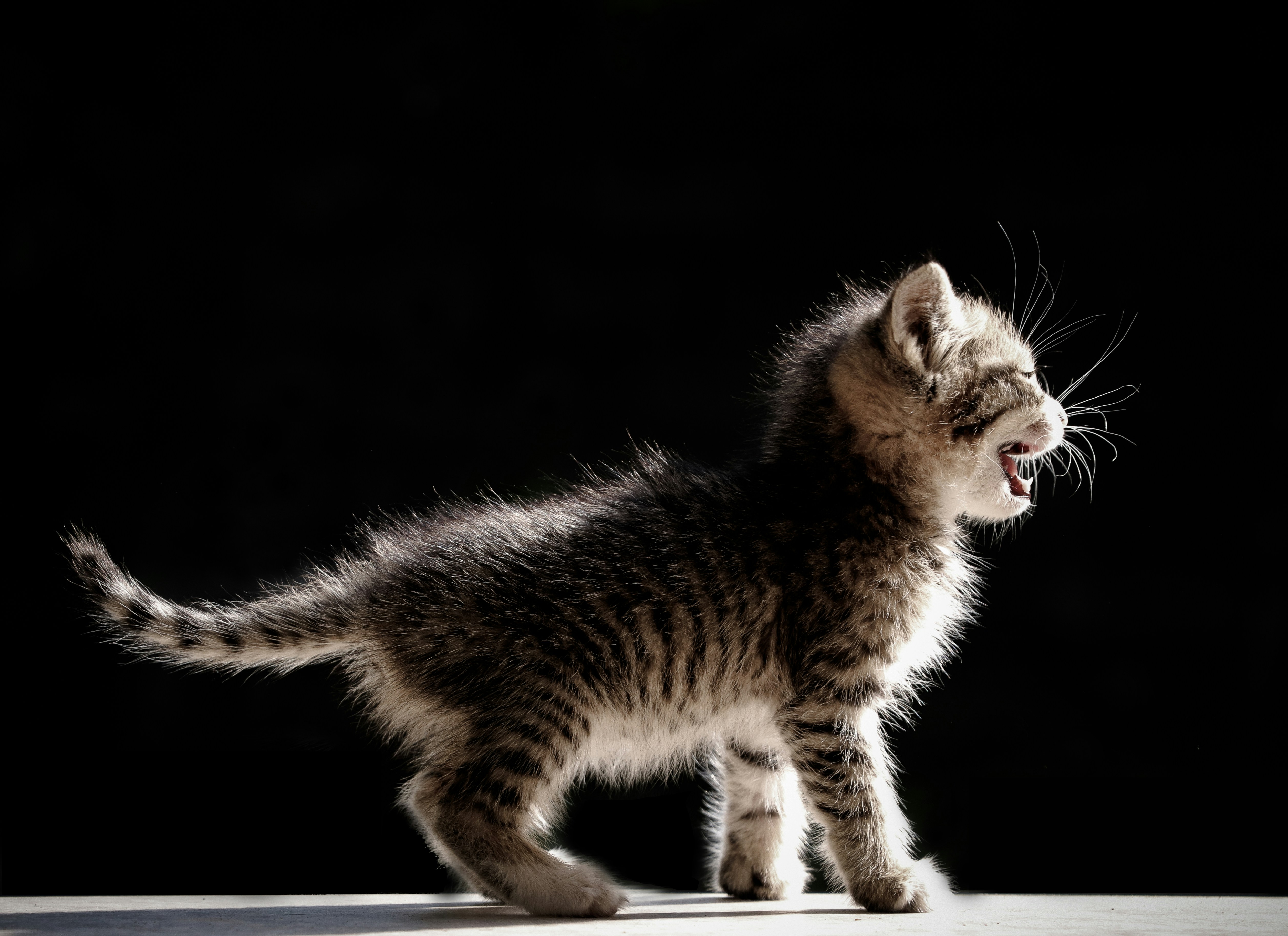 Trending Topics Feature image