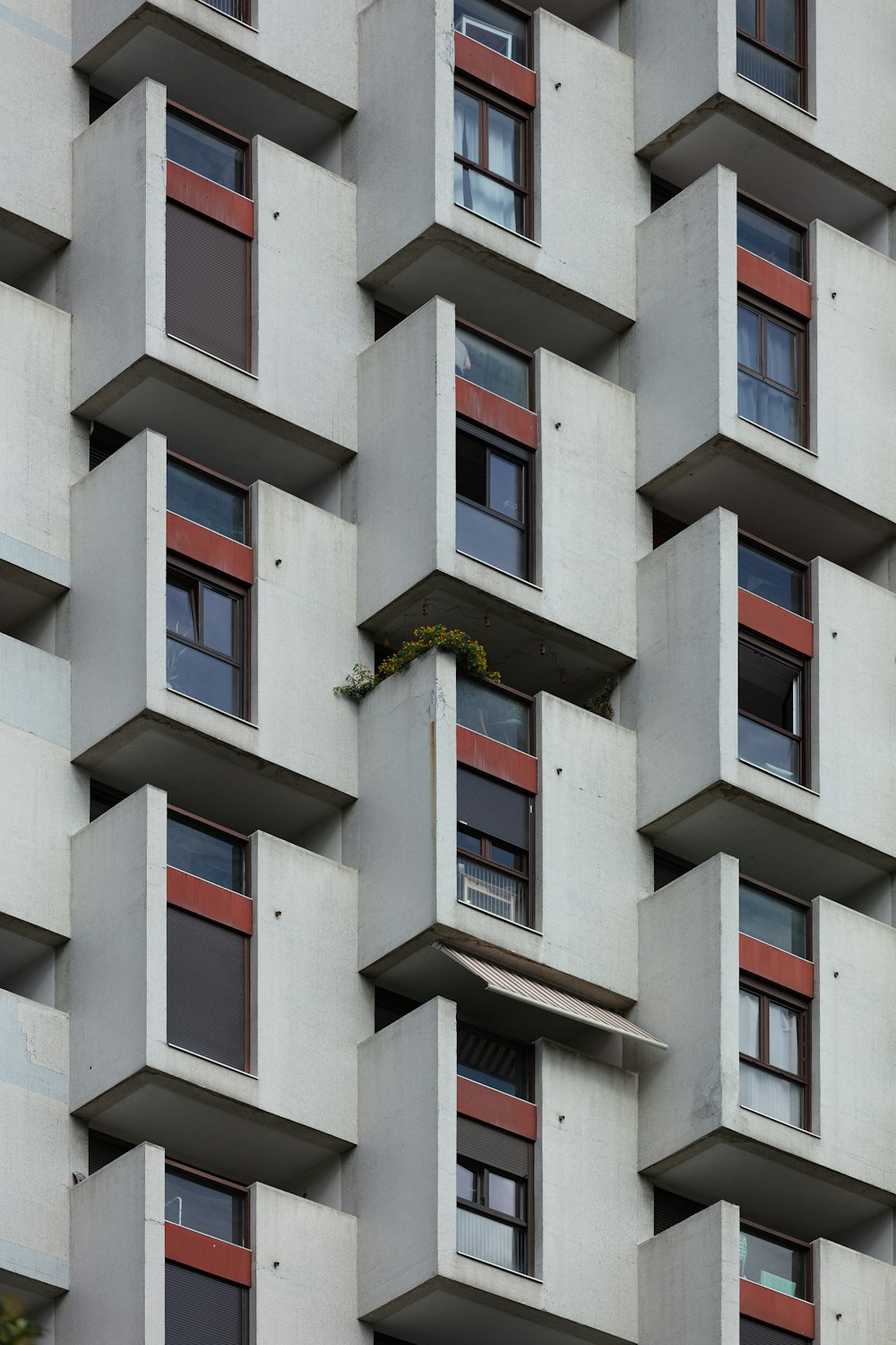 white concrete building with windows