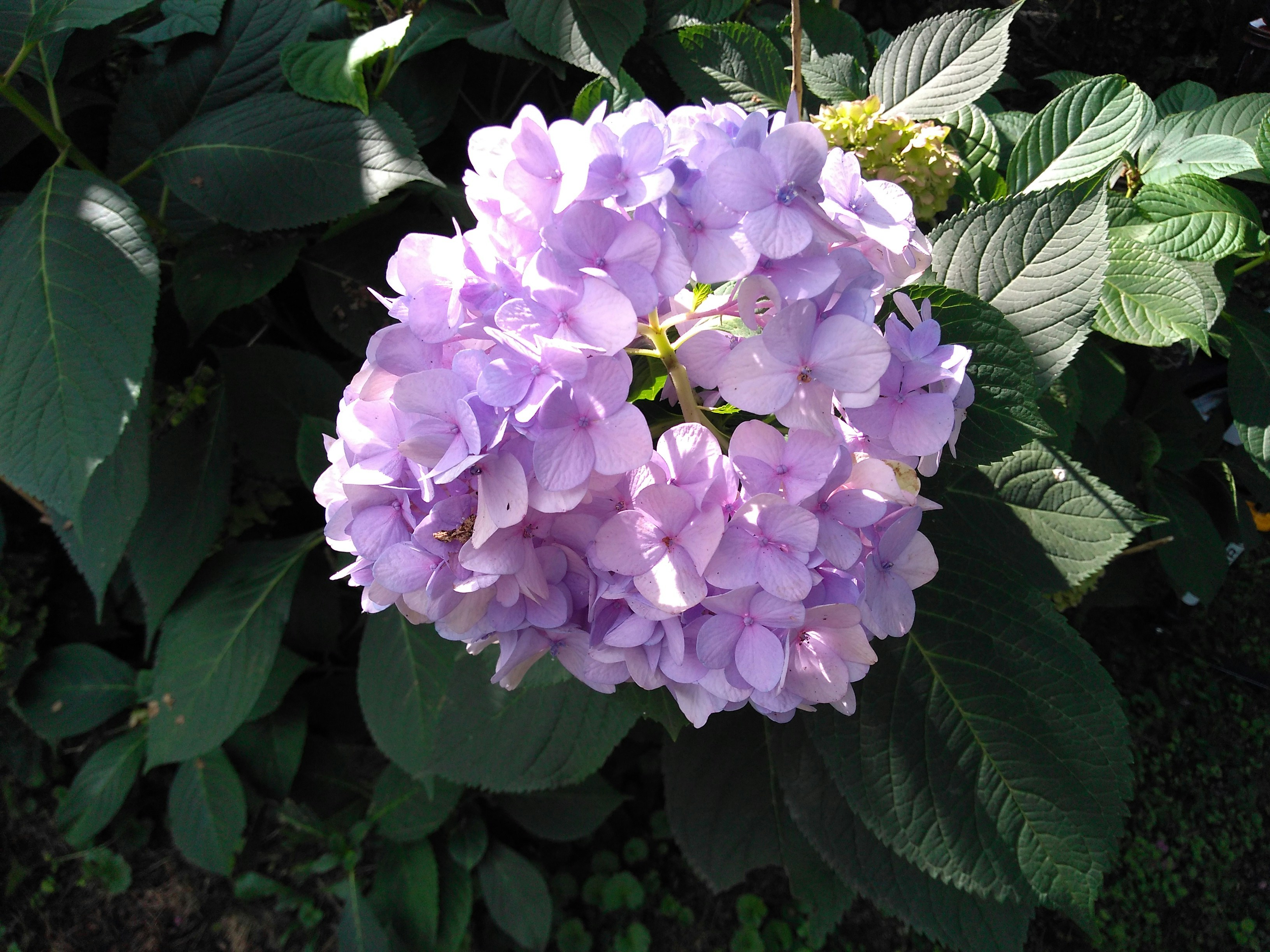 Photo by johncharles