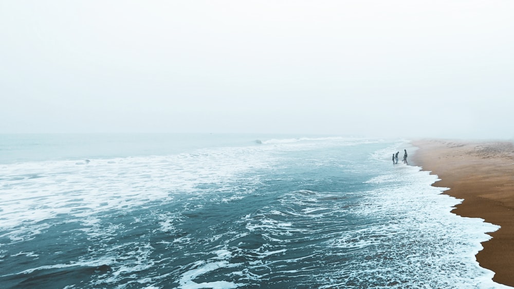 body of water under white sky during daytime