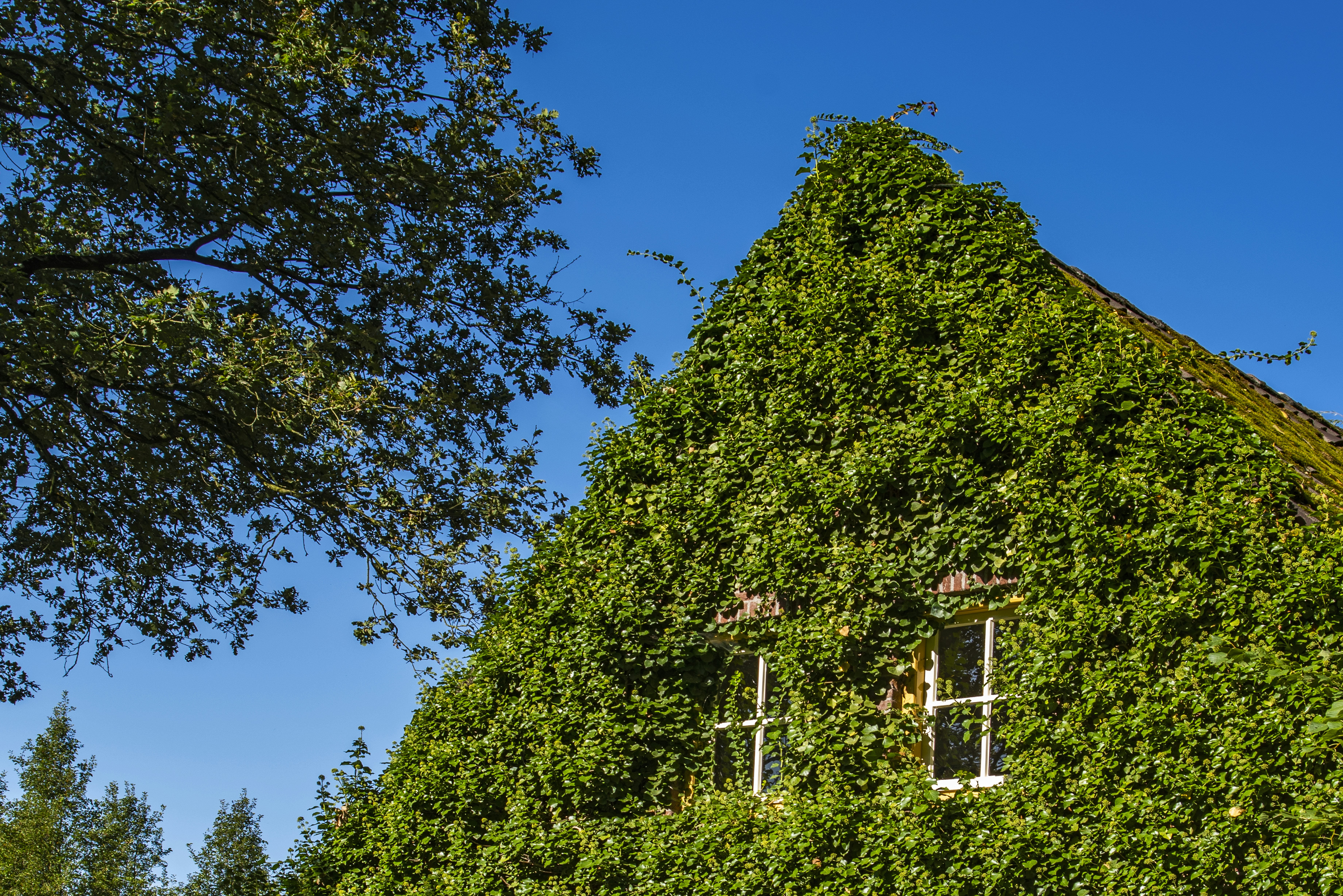 Photo by switch_dtp_fotografie