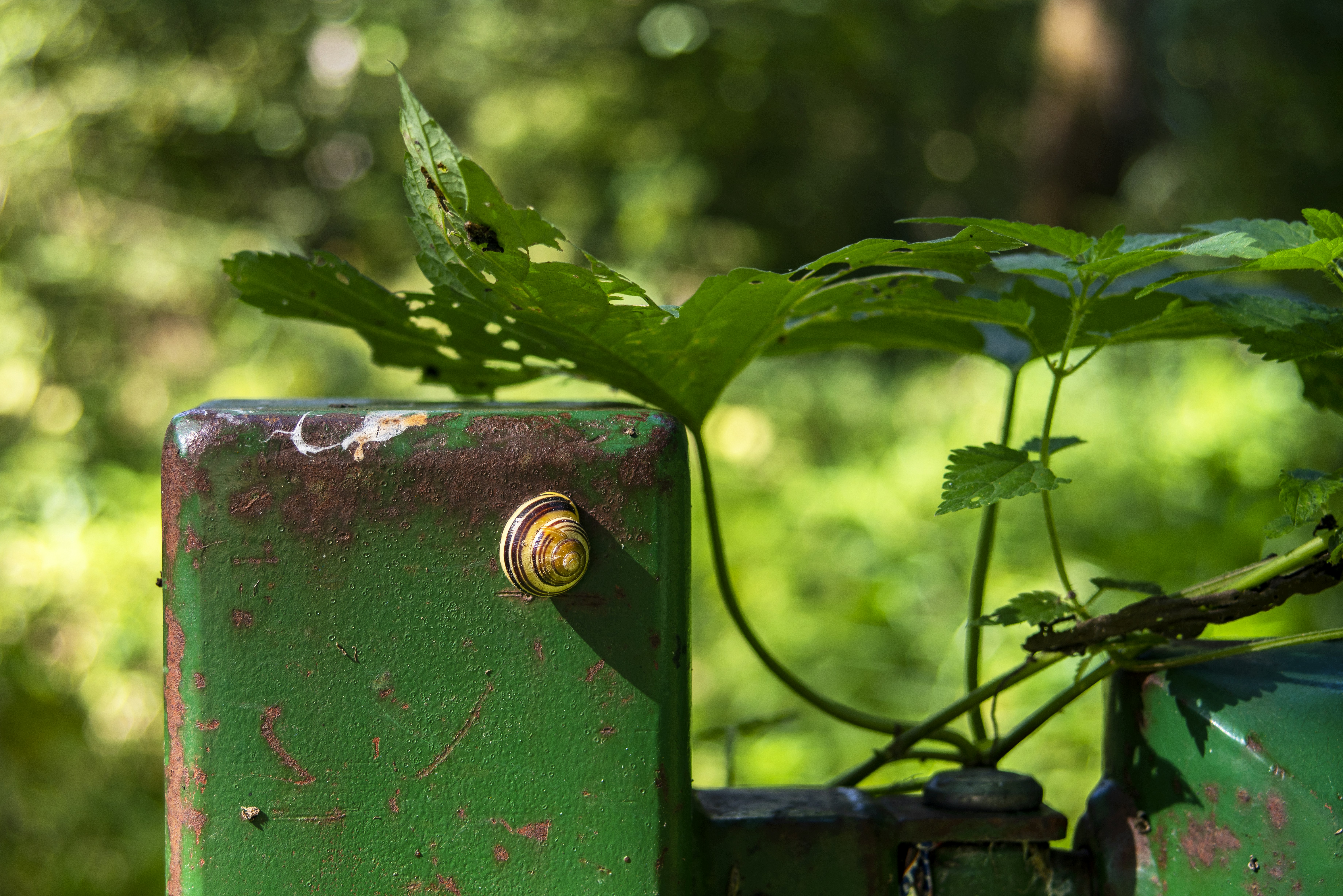 Photo by switch_dtp_fotografie