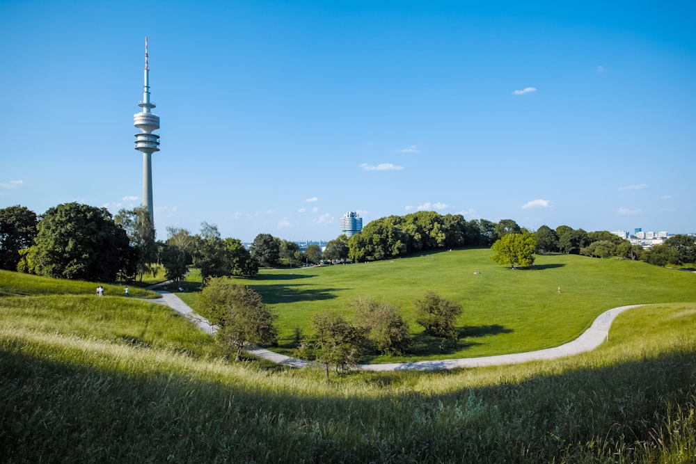 green grass field with green trees under blue sky during daytime