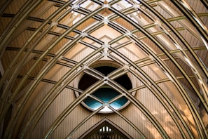 brown and black concrete building