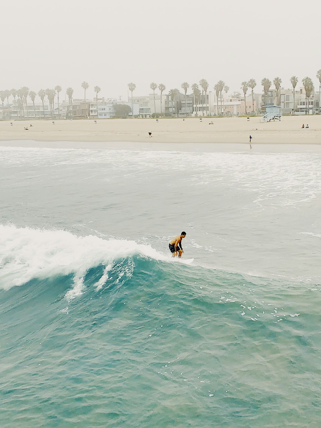 travelers stories about Surfing in Venice Beach, United States