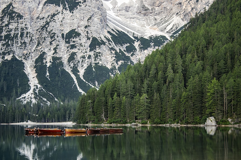 green trees near lake and snow covered mountain during daytime