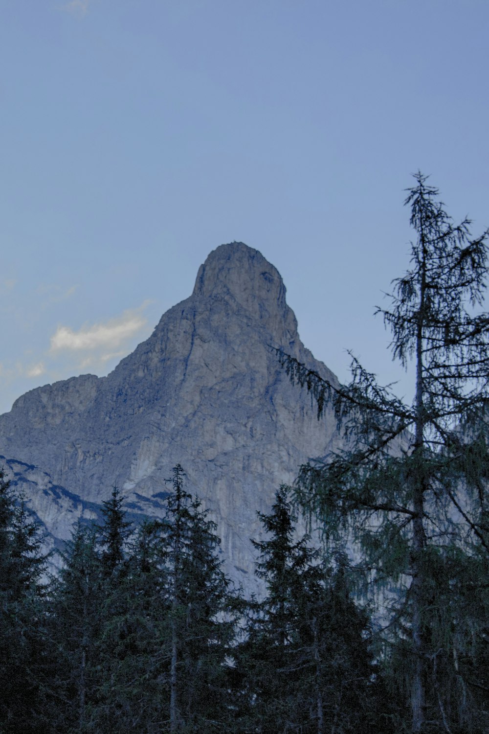 green trees near mountain during daytime