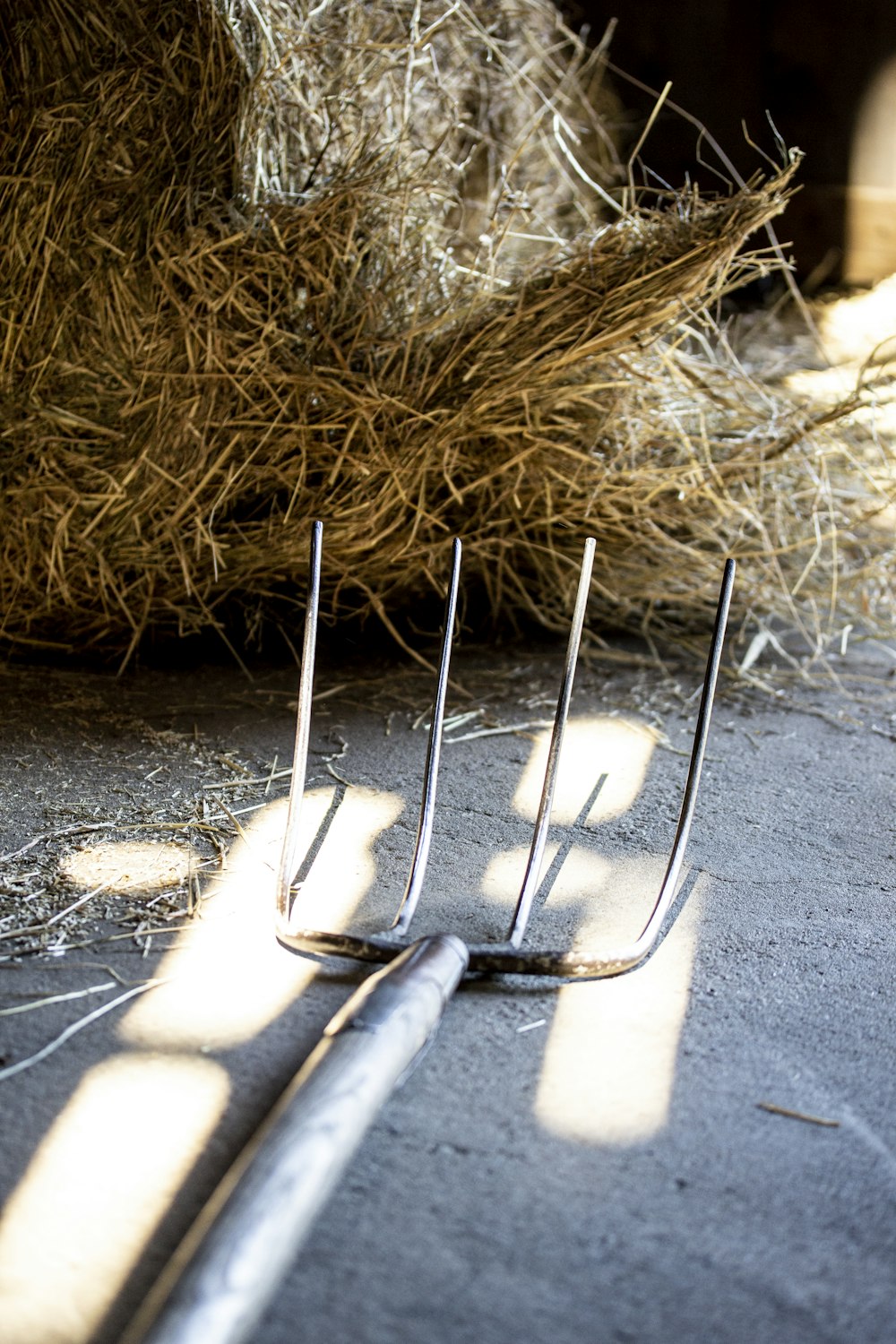 pitchfork on brown dried grass