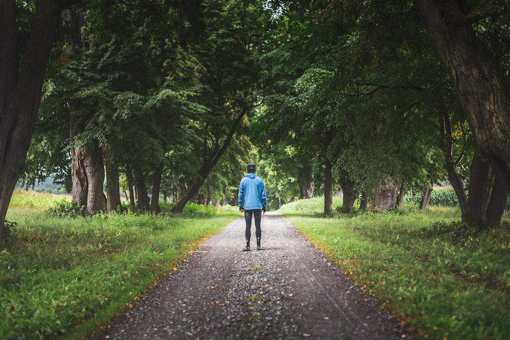 woman in blue jacket walking on pathway between green trees during daytime