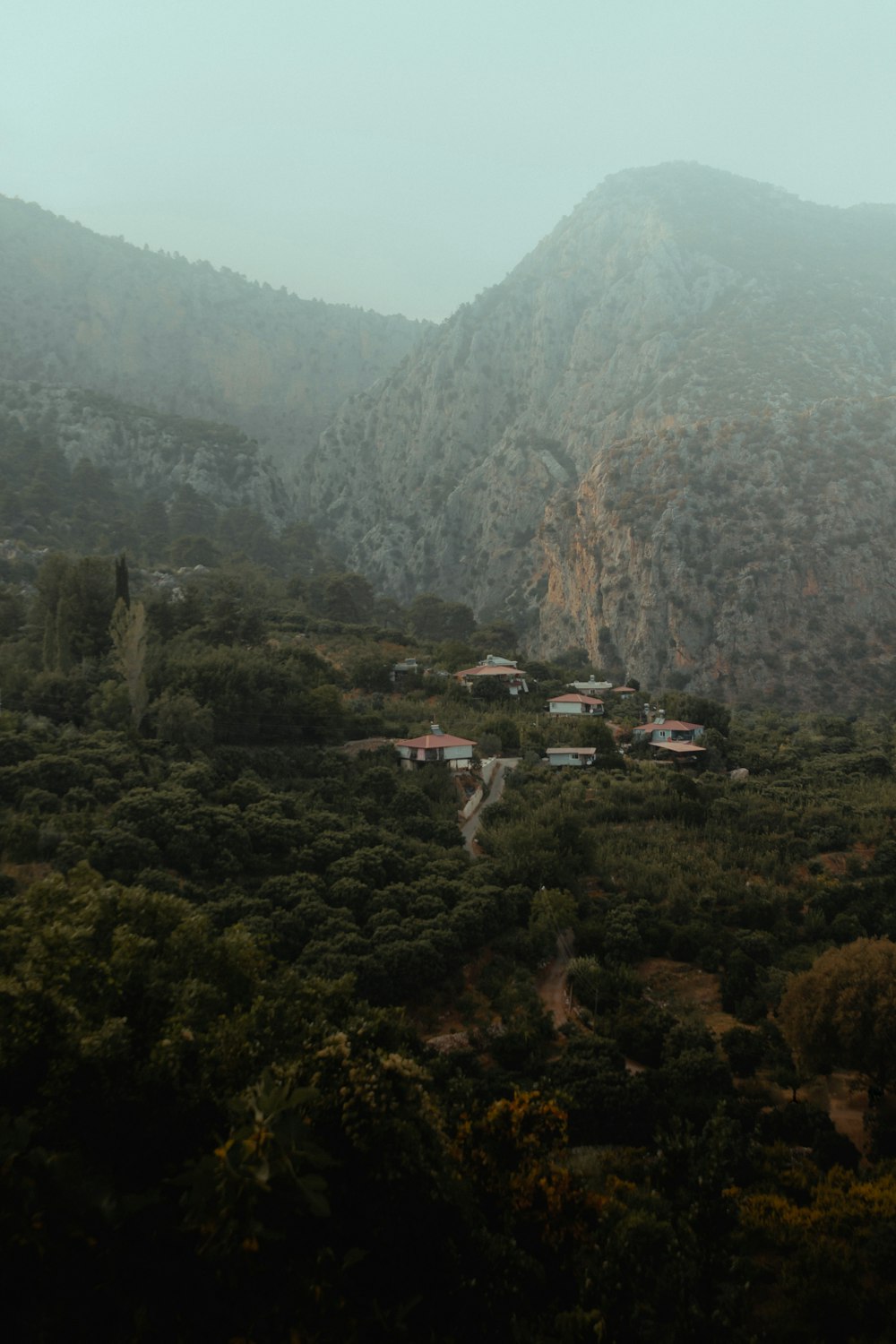 Árboles verdes y montaña durante el día