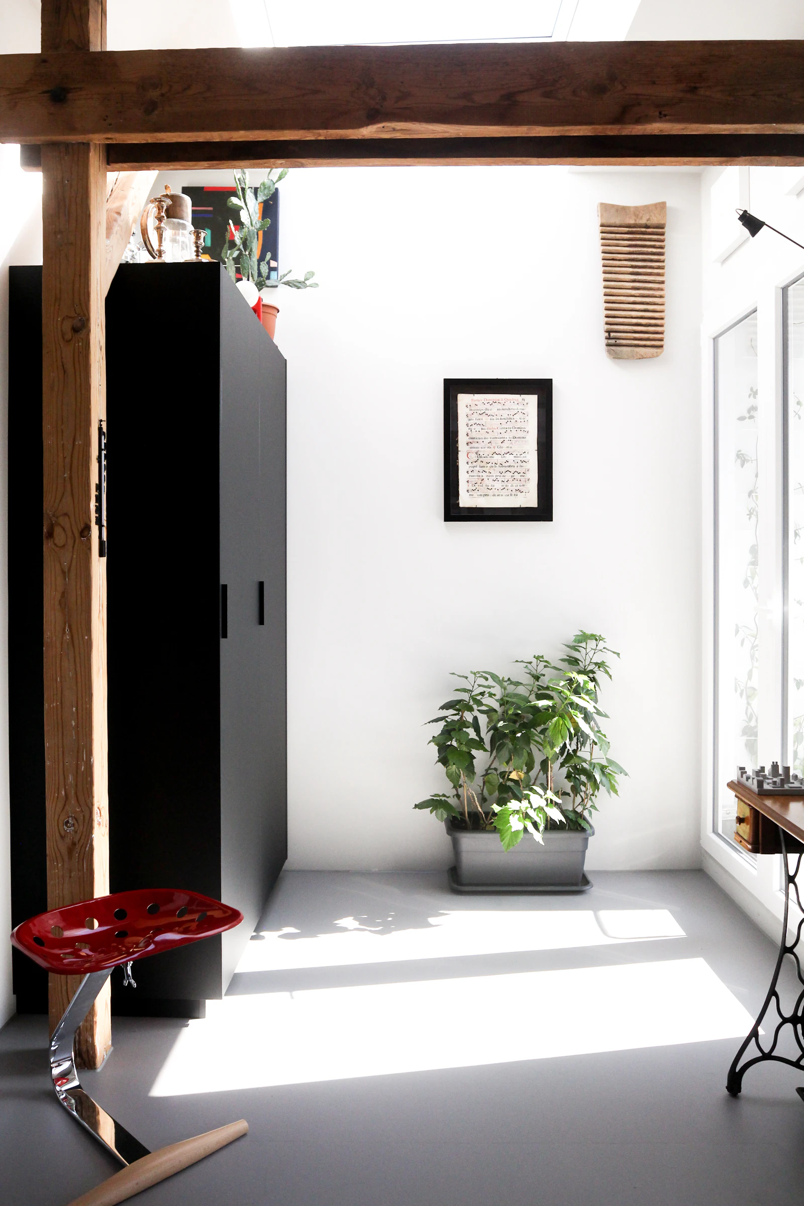 Sunlit apartment corner suitable for a compact home gym setup
