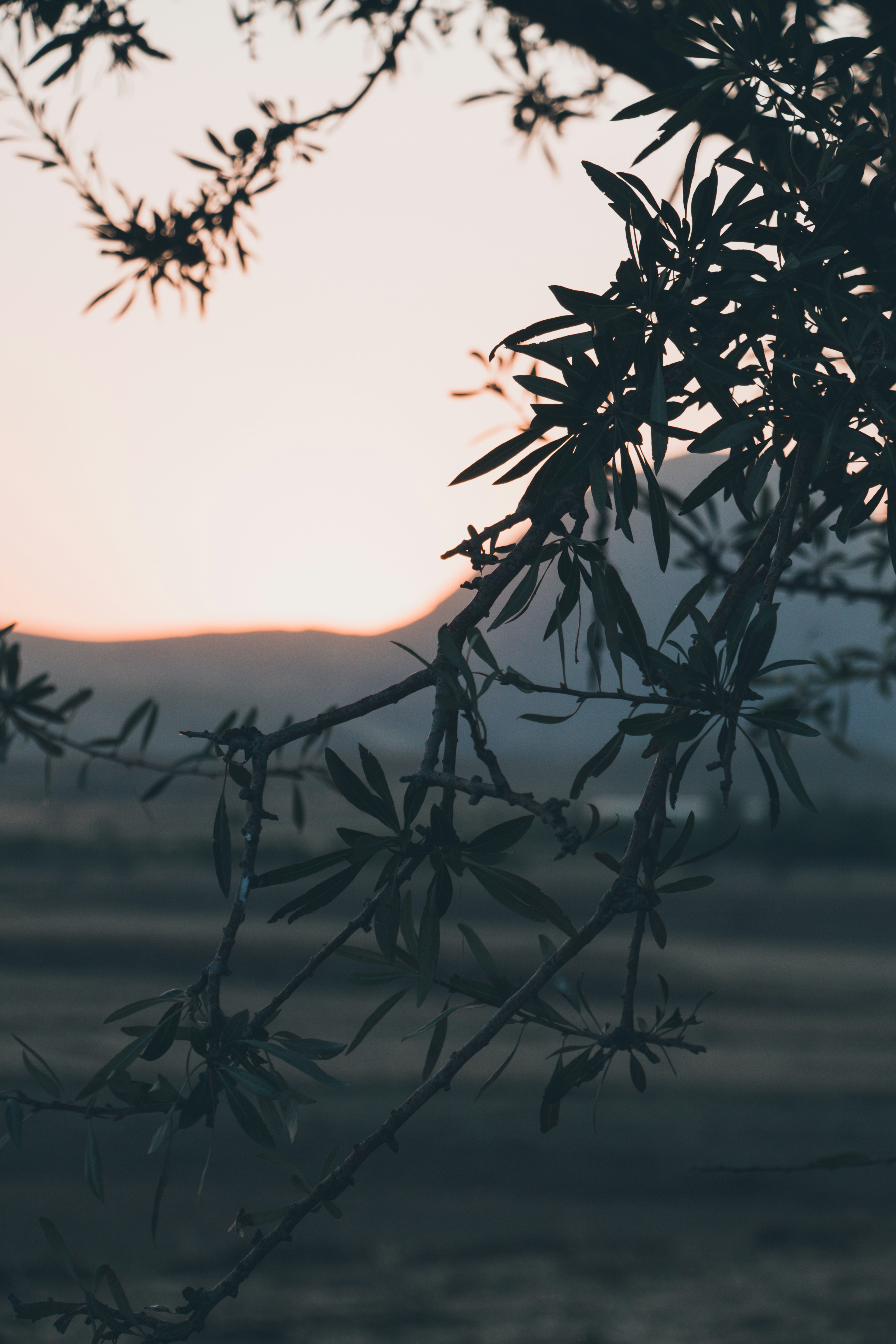 Photo by arya_beikzadeh