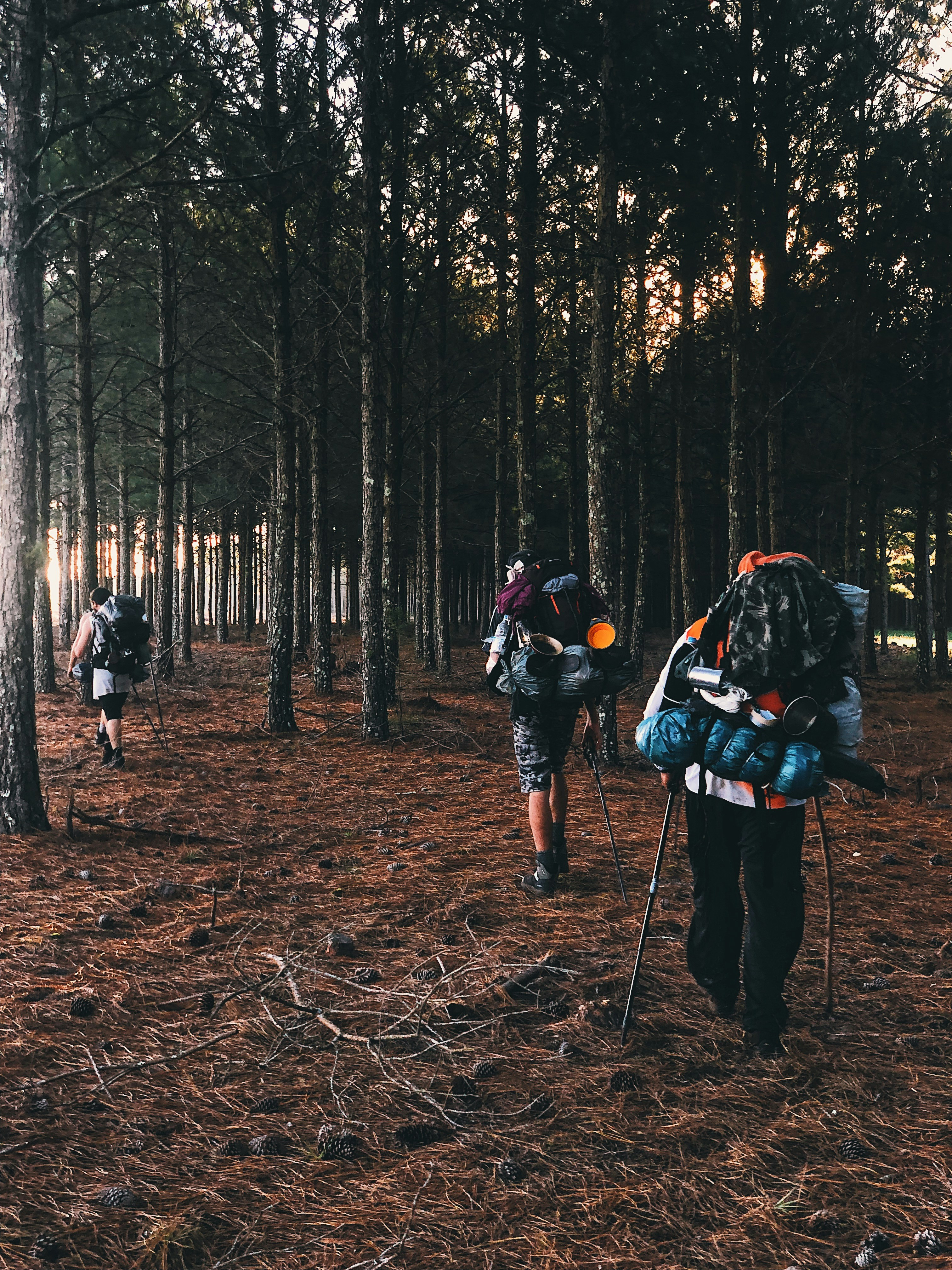 Photo by andreicastanha