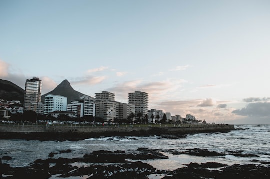 city skyline across the sea during daytime in Green Point Park South Africa