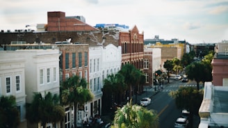 white concrete building near green trees during daytime