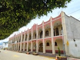 A two-story building with a series of arches and columns painted in pink and white. The building features balconies and is marked with the word 'OFICINA'. A large tree with dense foliage overhangs the street. The area is calm with minimal traffic, and orange traffic cones are placed along the curb.