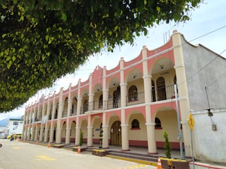 A two-story building with a series of arches and columns painted in pink and white. The building features balconies and is marked with the word 'OFICINA'. A large tree with dense foliage overhangs the street. The area is calm with minimal traffic, and orange traffic cones are placed along the curb.