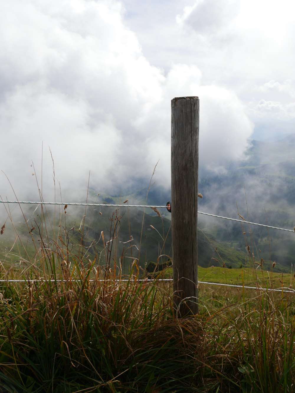 brown wooden post on green grass field under white clouds during daytime