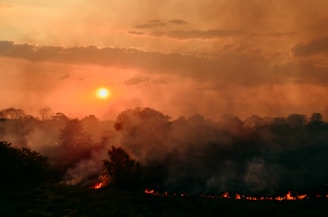 A dramatic landscape featuring a sunset with vibrant orange, yellow, and red hues illuminating the sky. The foreground has dark silhouettes of trees and smoke rising, suggesting a fire burning at the edge of the forest.
