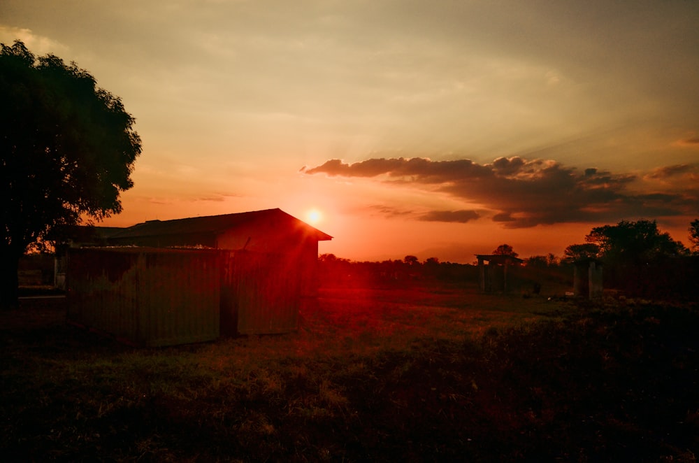 brown wooden house near green tree during sunset