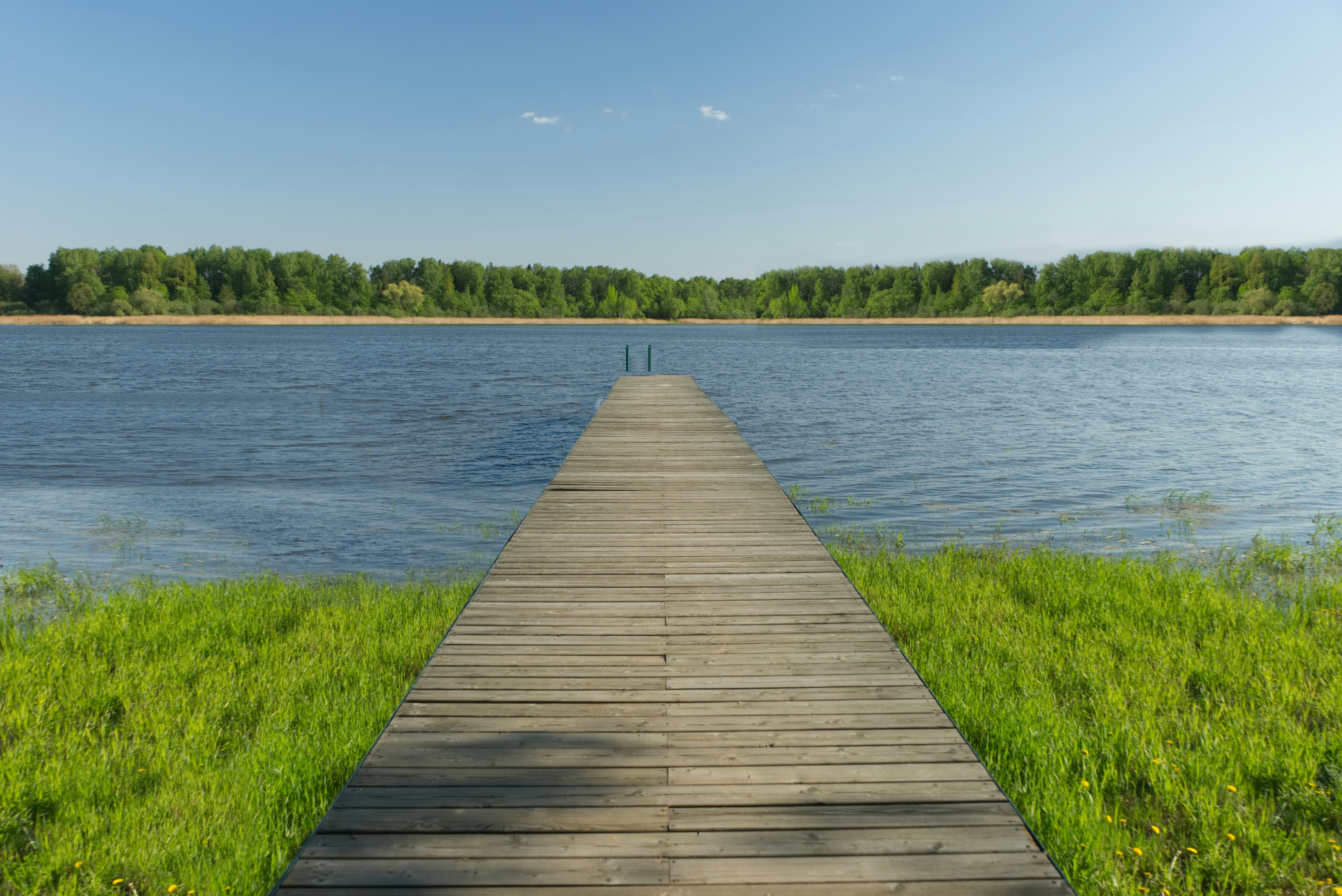 Photo by kolyasapphire