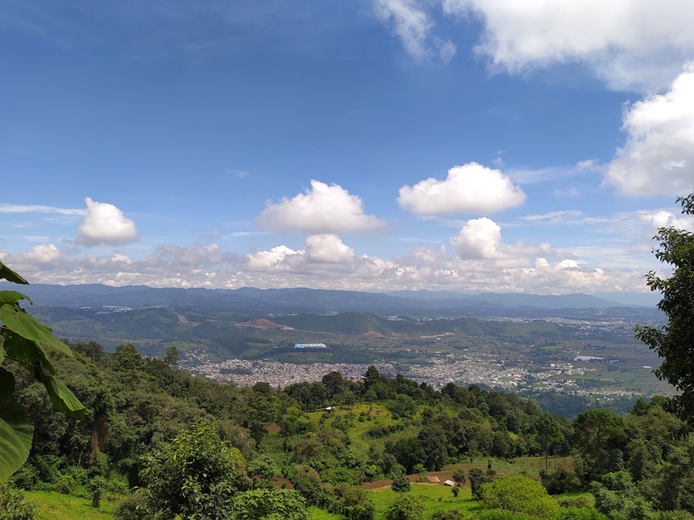 green trees under white clouds and blue sky during daytime