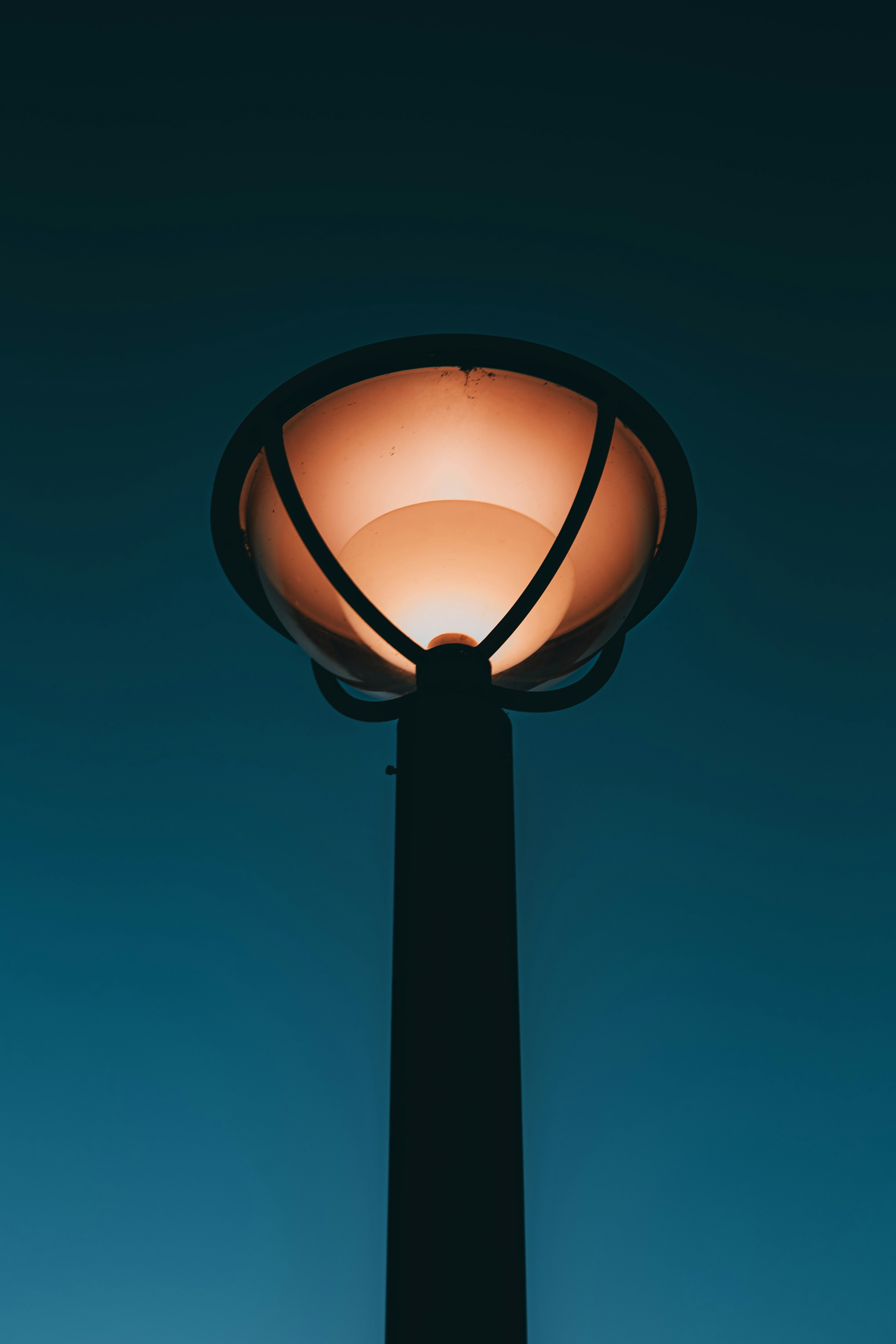 Photo by claoudtrees