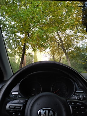 The perspective is from inside a car, looking through the windshield at a view of trees with green and yellow leaves, and a building in the background. The steering wheel with the Kia logo is in the foreground.