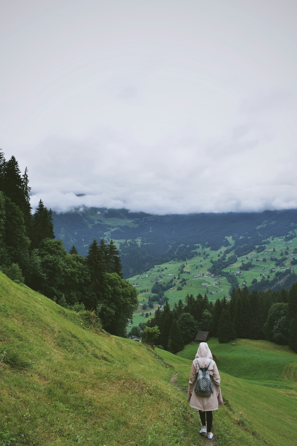 green trees on mountain under white clouds during daytime