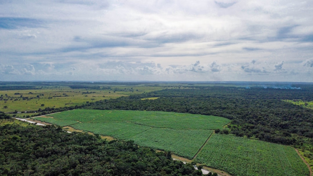 travelers stories about Plain in Guinea Grass, Belize