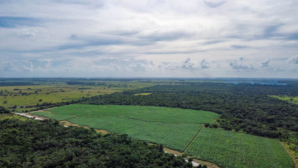 green grass field under white clouds during daytime