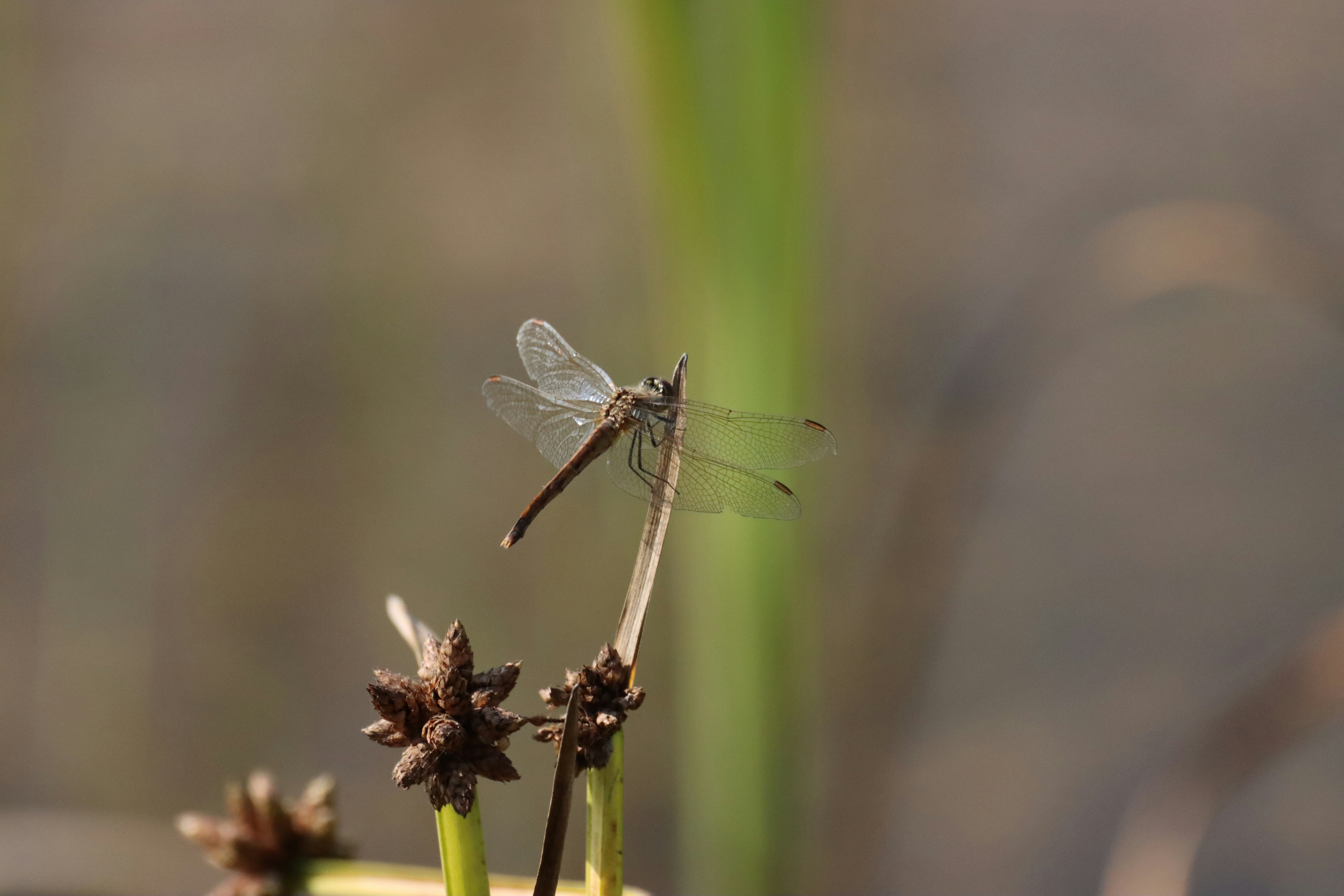 Photo by photasticlab