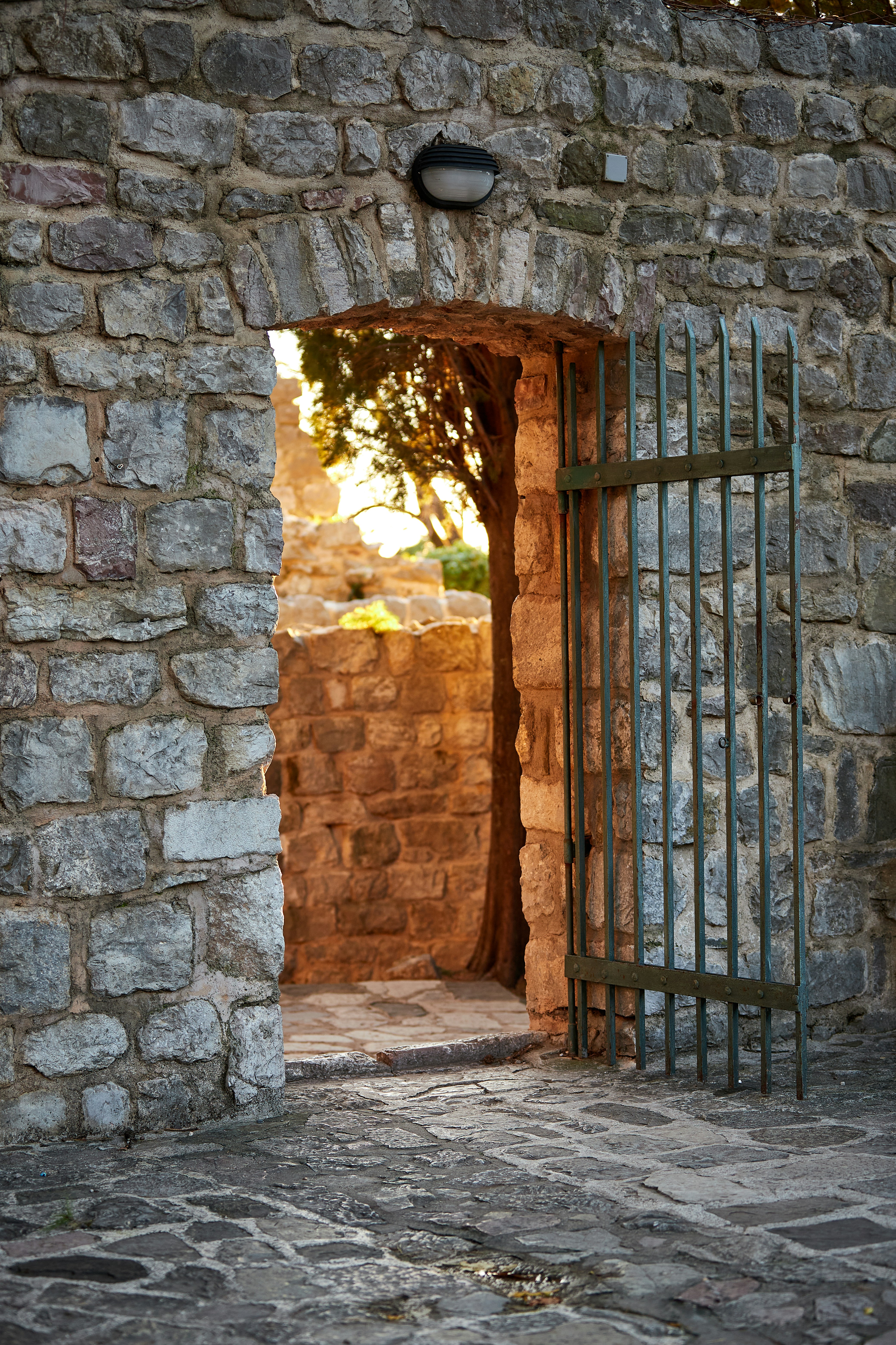 Photo by mladenscekic