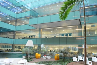 green palm tree near white table and chairs